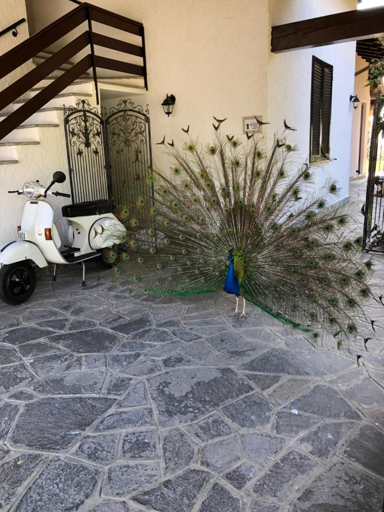 "Ai 4 Soli" Cermenate Dış mekan fotoğraf